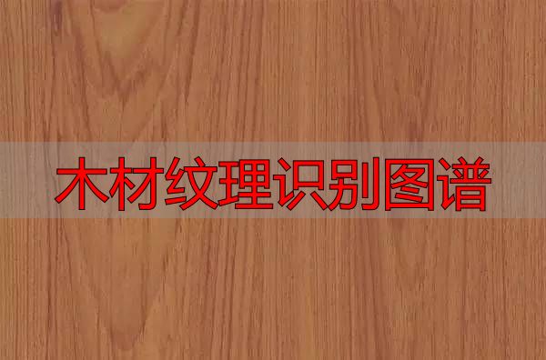 认识樱桃木和黄花梨:木材特征及用途全解析(图1) 木材纹理识别图谱_樱桃木特征用途_黄花梨特征用途