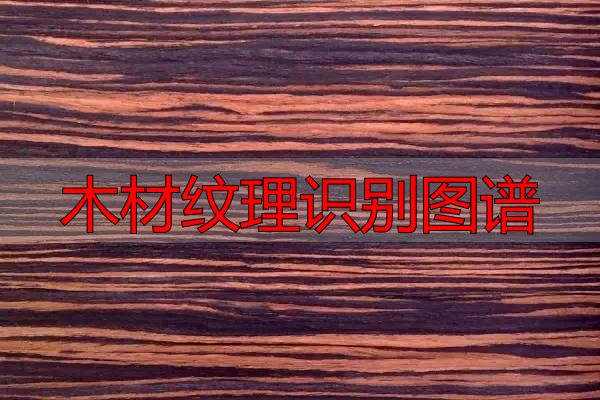 认识樱桃木和黄花梨:木材特征及用途全解析(图12) 黄花梨特征用途_木材纹理识别图谱_樱桃木特征用途