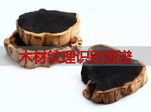 认识樱桃木和黄花梨:木材特征及用途全解析(图13) 黄花梨特征用途_木材纹理识别图谱_樱桃木特征用途