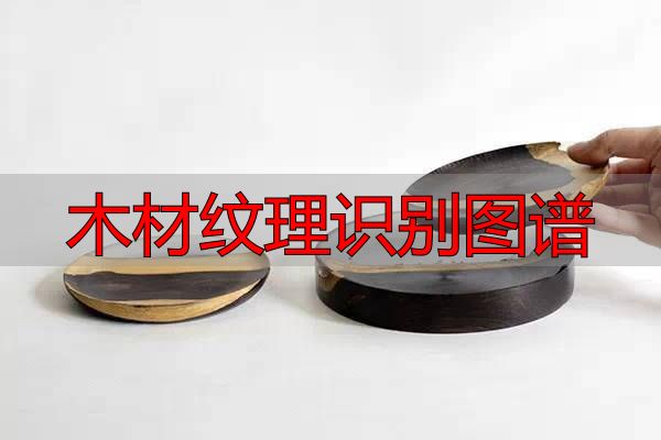 认识樱桃木和黄花梨:木材特征及用途全解析(图14) 木材纹理识别图谱_樱桃木特征用途_黄花梨特征用途