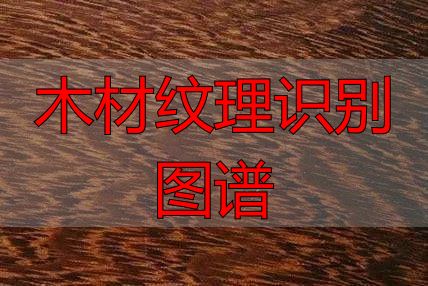 认识樱桃木和黄花梨:木材特征及用途全解析(图16) 木材纹理识别图谱_黄花梨特征用途_樱桃木特征用途