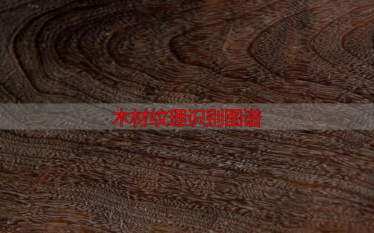 认识樱桃木和黄花梨:木材特征及用途全解析(图17) 木材纹理识别图谱_樱桃木特征用途_黄花梨特征用途
