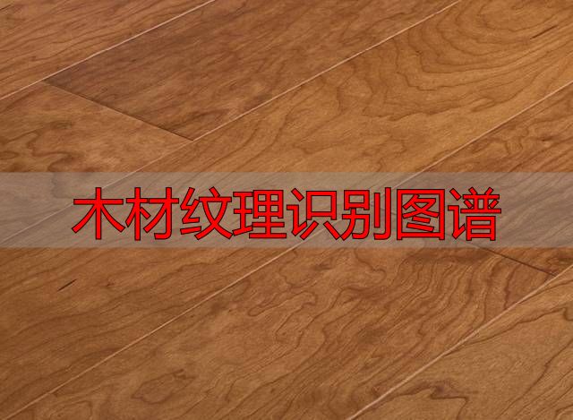 认识樱桃木和黄花梨:木材特征及用途全解析(图3) 樱桃木特征用途_木材纹理识别图谱_黄花梨特征用途