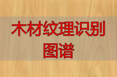 认识樱桃木和黄花梨:木材特征及用途全解析(图22) 木材纹理识别图谱_黄花梨特征用途_樱桃木特征用途