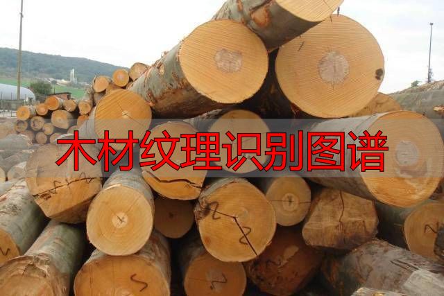 认识樱桃木和黄花梨:木材特征及用途全解析(图23) 黄花梨特征用途_木材纹理识别图谱_樱桃木特征用途