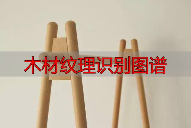 认识樱桃木和黄花梨:木材特征及用途全解析(图27) 黄花梨特征用途_木材纹理识别图谱_樱桃木特征用途