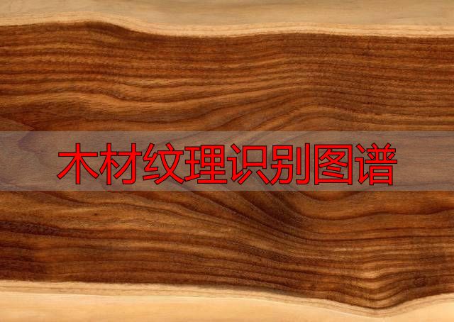 认识樱桃木和黄花梨:木材特征及用途全解析(图30) 木材纹理识别图谱_黄花梨特征用途_樱桃木特征用途