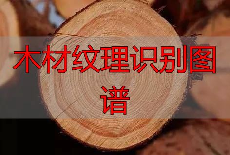 认识樱桃木和黄花梨:木材特征及用途全解析(图31) 木材纹理识别图谱_樱桃木特征用途_黄花梨特征用途