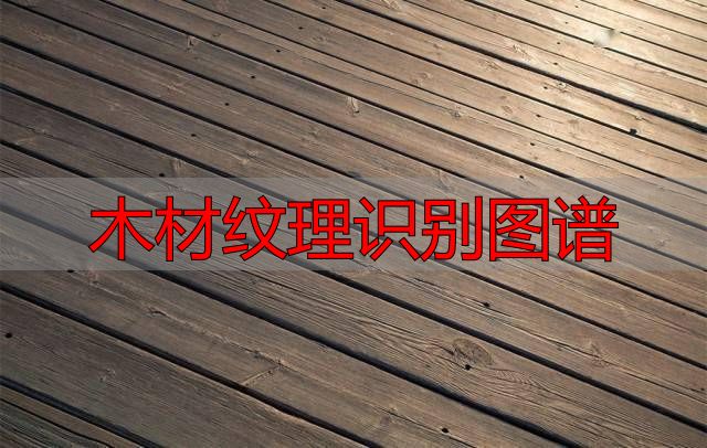 认识樱桃木和黄花梨:木材特征及用途全解析(图33) 黄花梨特征用途_木材纹理识别图谱_樱桃木特征用途