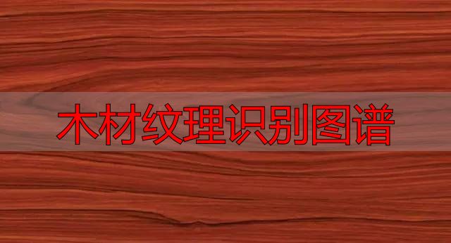 认识樱桃木和黄花梨:木材特征及用途全解析(图37) 黄花梨特征用途_木材纹理识别图谱_樱桃木特征用途