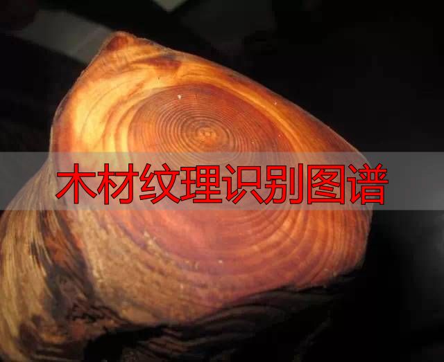 认识樱桃木和黄花梨:木材特征及用途全解析(图38) 樱桃木特征用途_木材纹理识别图谱_黄花梨特征用途