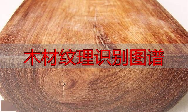 认识樱桃木和黄花梨:木材特征及用途全解析(图39) 木材纹理识别图谱_黄花梨特征用途_樱桃木特征用途