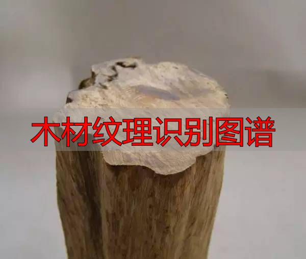 认识樱桃木和黄花梨:木材特征及用途全解析(图44) 樱桃木特征用途_木材纹理识别图谱_黄花梨特征用途