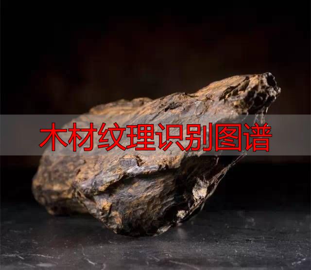 认识樱桃木和黄花梨:木材特征及用途全解析(图46) 木材纹理识别图谱_樱桃木特征用途_黄花梨特征用途