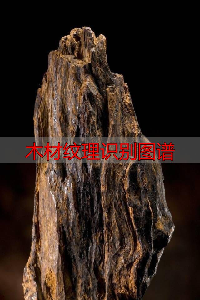 认识樱桃木和黄花梨:木材特征及用途全解析(图47) 樱桃木特征用途_黄花梨特征用途_木材纹理识别图谱