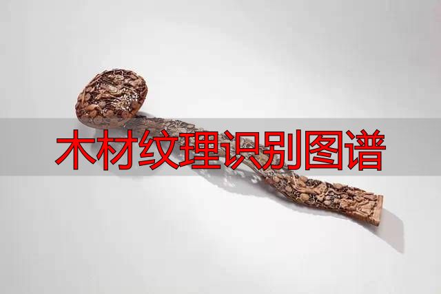 认识樱桃木和黄花梨:木材特征及用途全解析(图48) 木材纹理识别图谱_黄花梨特征用途_樱桃木特征用途
