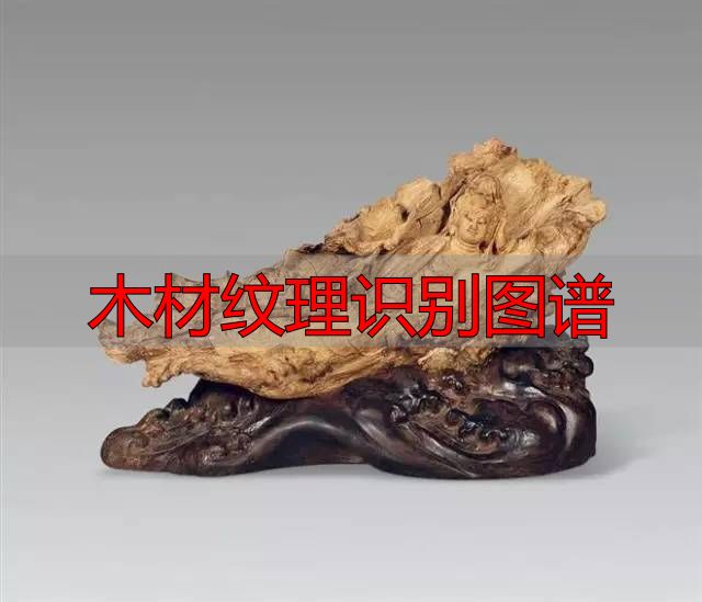 认识樱桃木和黄花梨:木材特征及用途全解析(图49) 黄花梨特征用途_樱桃木特征用途_木材纹理识别图谱