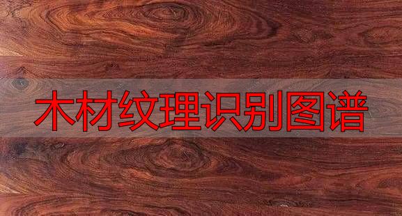 认识樱桃木和黄花梨:木材特征及用途全解析(图6) 樱桃木特征用途_黄花梨特征用途_木材纹理识别图谱