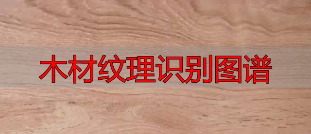 认识樱桃木和黄花梨:木材特征及用途全解析(图51) 樱桃木特征用途_木材纹理识别图谱_黄花梨特征用途