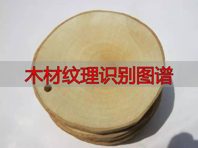 认识樱桃木和黄花梨:木材特征及用途全解析(图52) 木材纹理识别图谱_樱桃木特征用途_黄花梨特征用途
