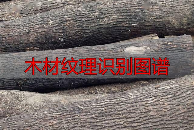 认识樱桃木和黄花梨:木材特征及用途全解析(图53) 黄花梨特征用途_木材纹理识别图谱_樱桃木特征用途