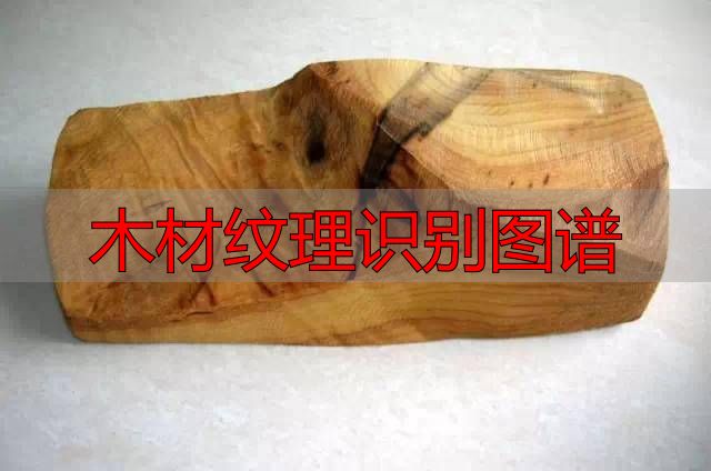 认识樱桃木和黄花梨:木材特征及用途全解析(图60) 黄花梨特征用途_木材纹理识别图谱_樱桃木特征用途