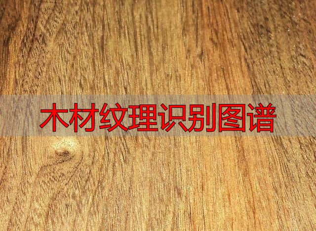 认识樱桃木和黄花梨:木材特征及用途全解析(图61) 樱桃木特征用途_黄花梨特征用途_木材纹理识别图谱