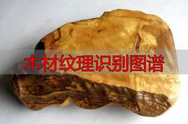 认识樱桃木和黄花梨:木材特征及用途全解析(图63) 木材纹理识别图谱_樱桃木特征用途_黄花梨特征用途