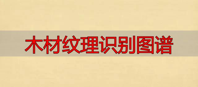 认识樱桃木和黄花梨:木材特征及用途全解析(图70) 樱桃木特征用途_黄花梨特征用途_木材纹理识别图谱