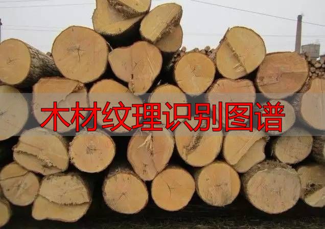 认识樱桃木和黄花梨:木材特征及用途全解析(图71) 黄花梨特征用途_樱桃木特征用途_木材纹理识别图谱