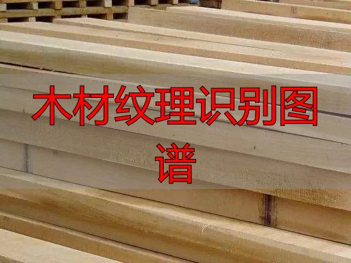 认识樱桃木和黄花梨:木材特征及用途全解析(图72) 樱桃木特征用途_木材纹理识别图谱_黄花梨特征用途