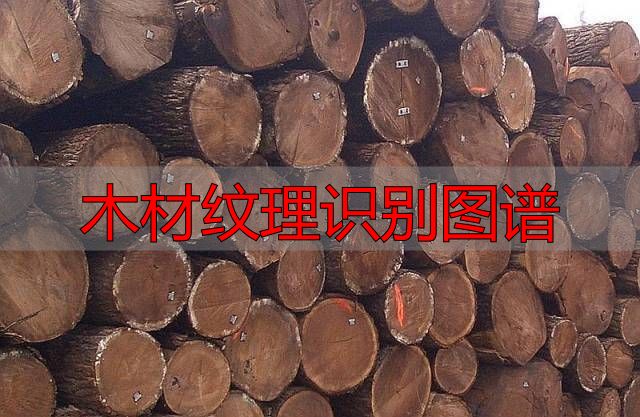 认识樱桃木和黄花梨:木材特征及用途全解析(图78) 黄花梨特征用途_樱桃木特征用途_木材纹理识别图谱