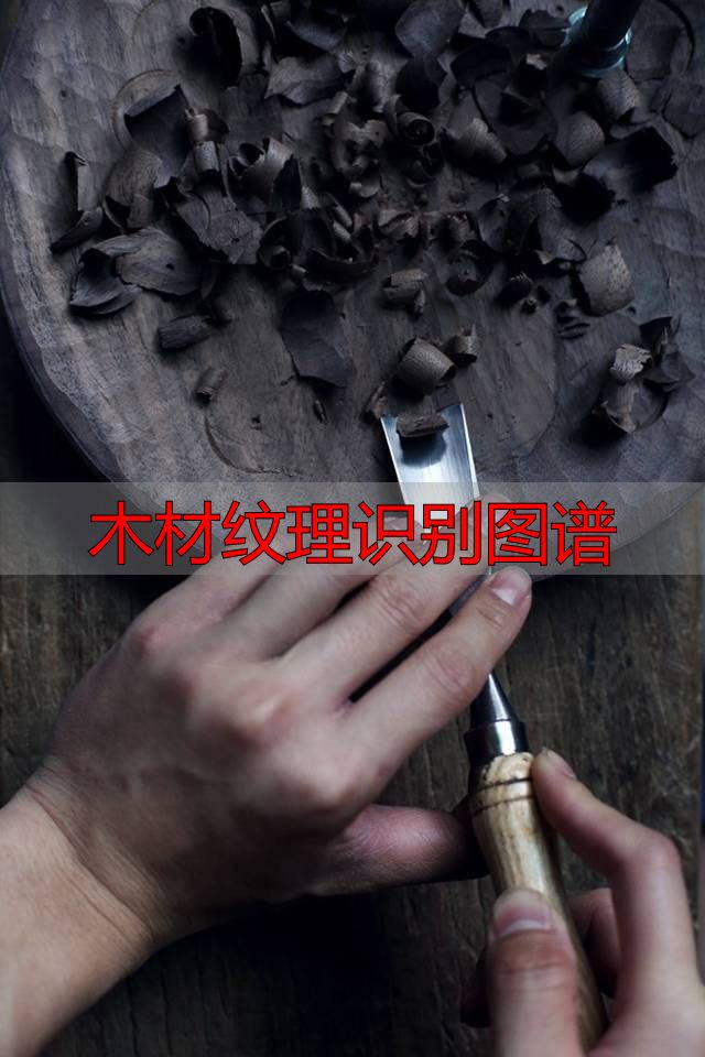 认识樱桃木和黄花梨:木材特征及用途全解析(图83) 黄花梨特征用途_樱桃木特征用途_木材纹理识别图谱
