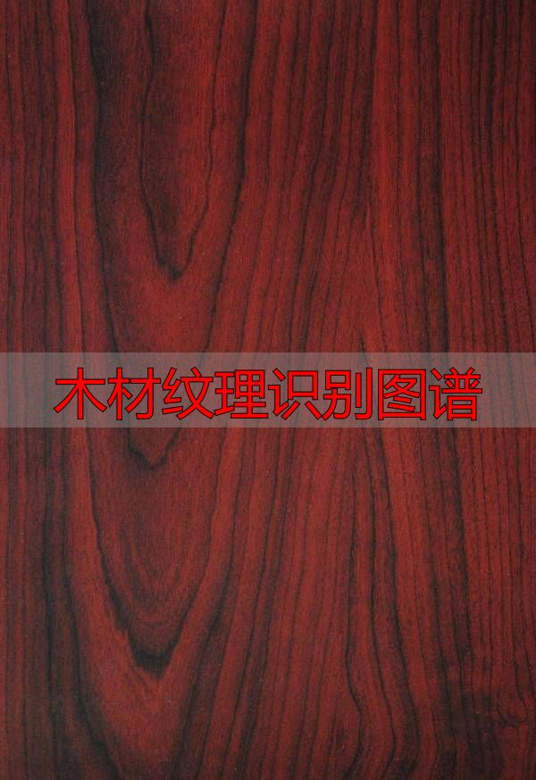 认识樱桃木和黄花梨:木材特征及用途全解析(图86) 樱桃木特征用途_黄花梨特征用途_木材纹理识别图谱