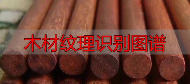 认识樱桃木和黄花梨:木材特征及用途全解析(图87) 黄花梨特征用途_木材纹理识别图谱_樱桃木特征用途