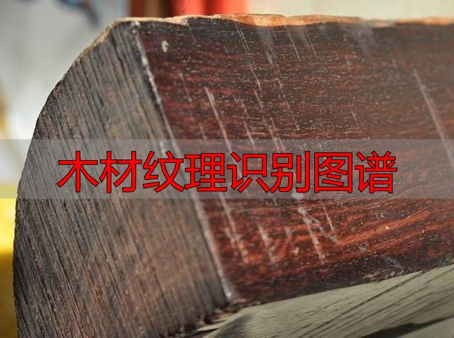 认识樱桃木和黄花梨:木材特征及用途全解析(图88) 黄花梨特征用途_木材纹理识别图谱_樱桃木特征用途