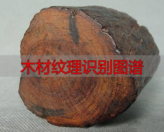 认识樱桃木和黄花梨:木材特征及用途全解析(图89) 黄花梨特征用途_樱桃木特征用途_木材纹理识别图谱