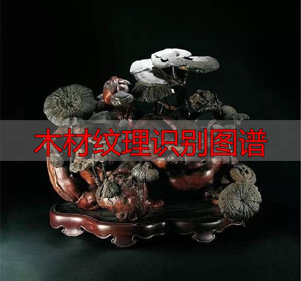 认识樱桃木和黄花梨:木材特征及用途全解析(图94) 木材纹理识别图谱_黄花梨特征用途_樱桃木特征用途