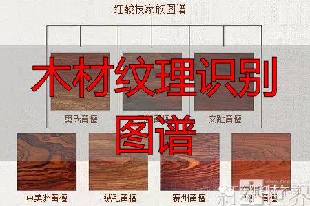 红酸枝家族图谱及鉴别方法,助你选购红酸枝家具不困惑(图1) 红酸枝木类木材特征_木材纹理识别图谱_红酸枝木类种类鉴别