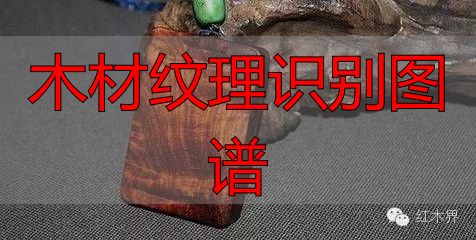红酸枝家族图谱及鉴别方法,助你选购红酸枝家具不困惑(图14) 红酸枝木类种类鉴别_红酸枝木类木材特征_木材纹理识别图谱