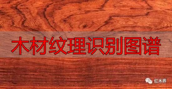 红酸枝家族图谱及鉴别方法,助你选购红酸枝家具不困惑(图16) 木材纹理识别图谱_红酸枝木类木材特征_红酸枝木类种类鉴别