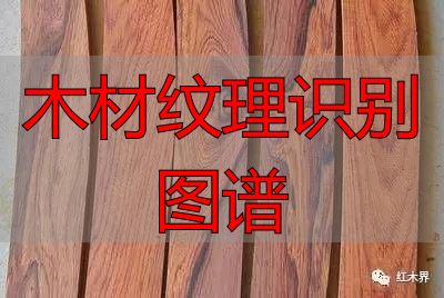 红酸枝家族图谱及鉴别方法,助你选购红酸枝家具不困惑(图19) 木材纹理识别图谱_红酸枝木类种类鉴别_红酸枝木类木材特征