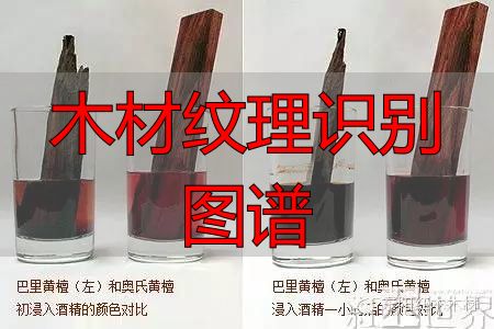 红酸枝家族图谱及鉴别方法,助你选购红酸枝家具不困惑(图20) 红酸枝木类木材特征_木材纹理识别图谱_红酸枝木类种类鉴别