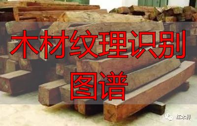 红酸枝家族图谱及鉴别方法,助你选购红酸枝家具不困惑(图3) 木材纹理识别图谱_红酸枝木类种类鉴别_红酸枝木类木材特征