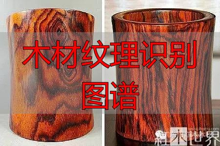 红酸枝家族图谱及鉴别方法,助你选购红酸枝家具不困惑(图23) 红酸枝木类木材特征_木材纹理识别图谱_红酸枝木类种类鉴别