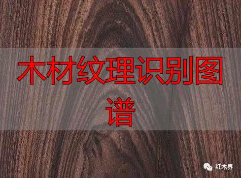 红酸枝家族图谱及鉴别方法,助你选购红酸枝家具不困惑(图6) 红酸枝木类种类鉴别_木材纹理识别图谱_红酸枝木类木材特征