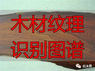 红酸枝家族图谱及鉴别方法,助你选购红酸枝家具不困惑(图7) 红酸枝木类种类鉴别_木材纹理识别图谱_红酸枝木类木材特征