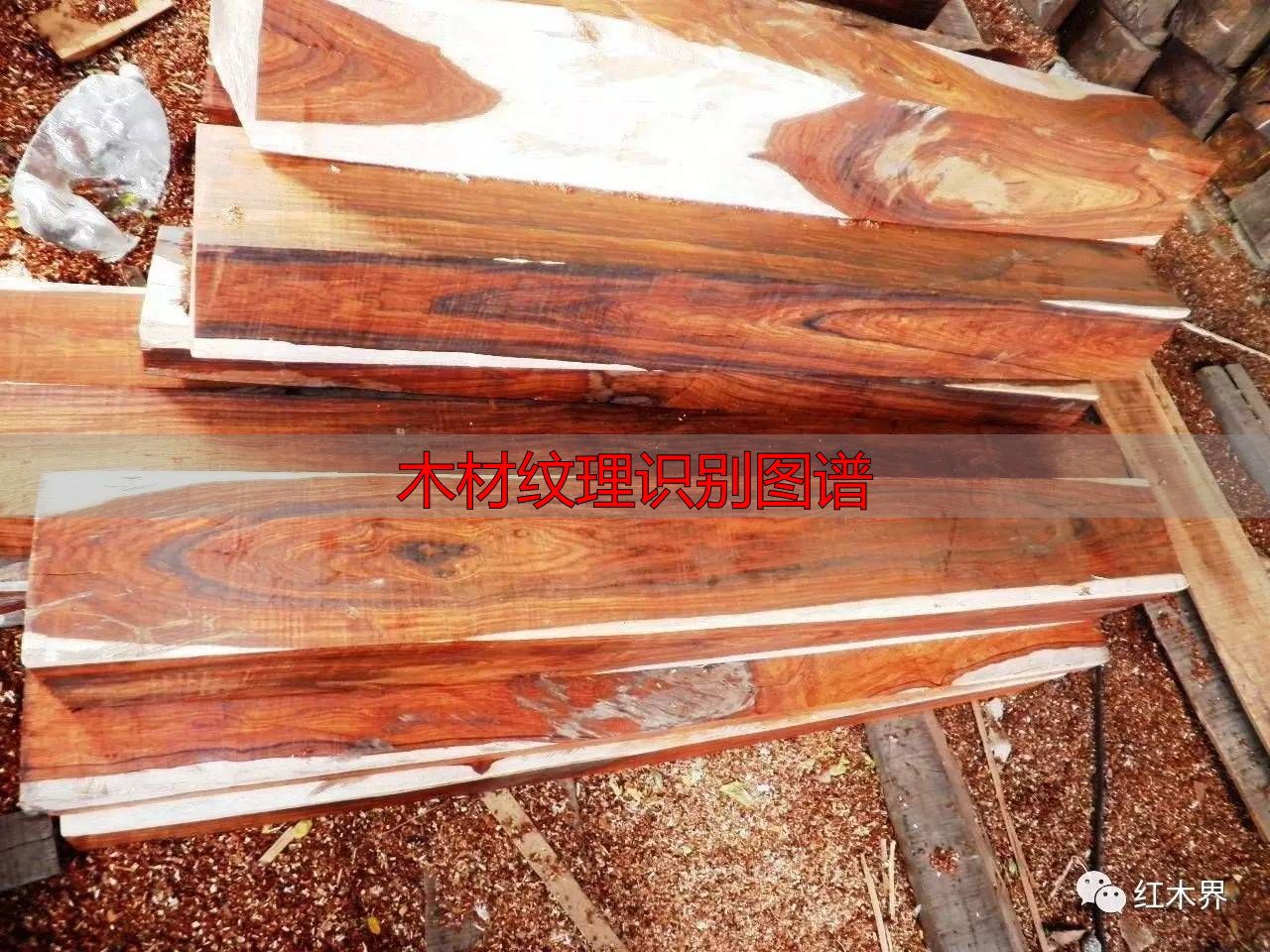 红酸枝家族图谱及鉴别方法,助你选购红酸枝家具不困惑(图8) 木材纹理识别图谱_红酸枝木类种类鉴别_红酸枝木类木材特征