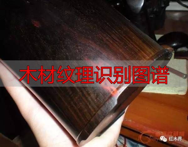 红酸枝家族图谱及鉴别方法,助你选购红酸枝家具不困惑(图10) 红酸枝木类种类鉴别_红酸枝木类木材特征_木材纹理识别图谱