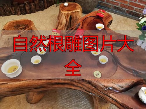 极具收藏价值的实木根雕茶几,自然形态图片大赏(图1) 实木根雕茶几图片大全_根雕艺术历史_自然根雕图片大全